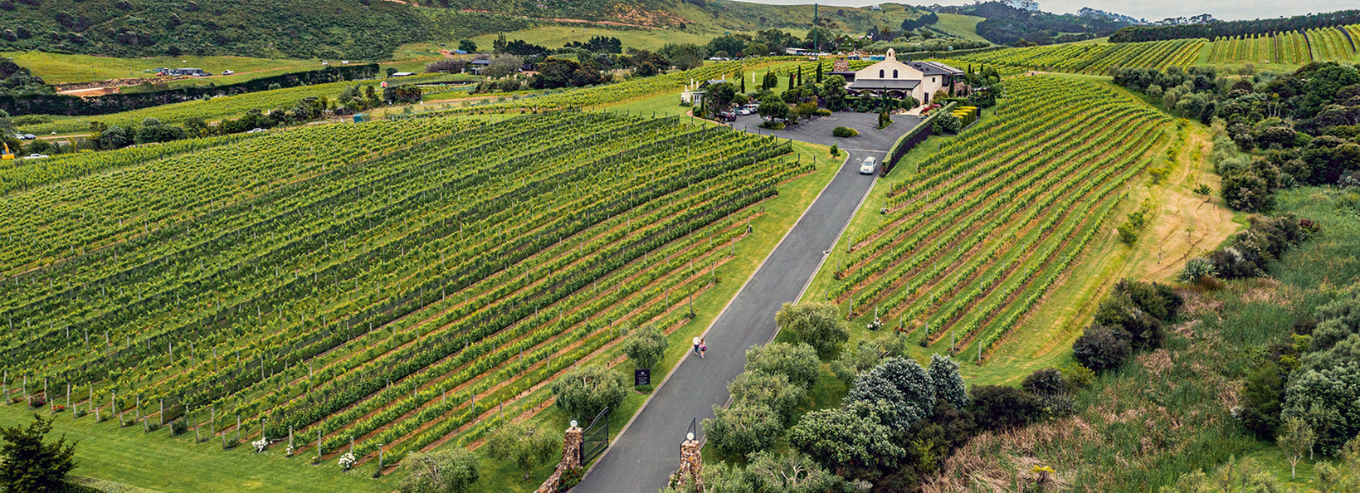 Tantalus Estate
